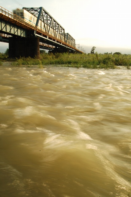 e0005714_11395855.jpg