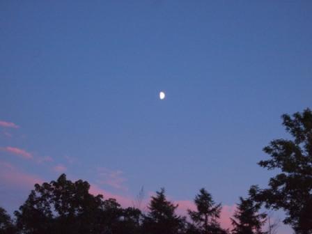 e0113915_857348.jpg