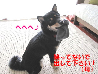 c0185516_1442386.jpg