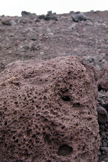 e0083517_1285780.jpg