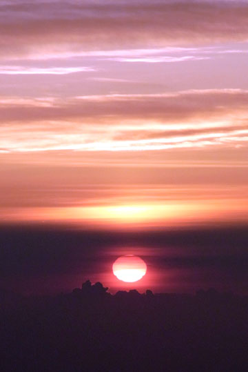 e0083517_13303352.jpg