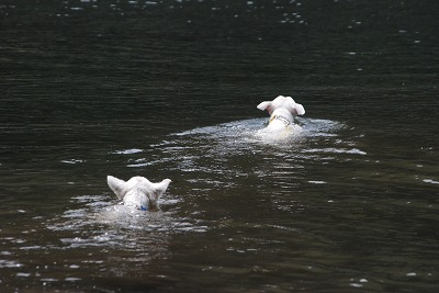 e0121418_2130373.jpg