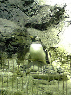 d0088920_19114144.jpg
