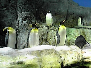 d0088920_19143642.jpg