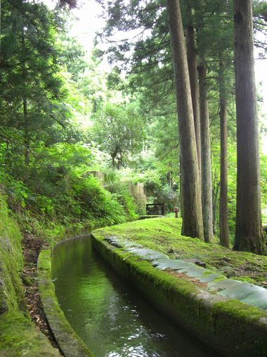 c0152123_942199.jpg