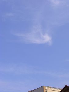 c0152123_9425832.jpg