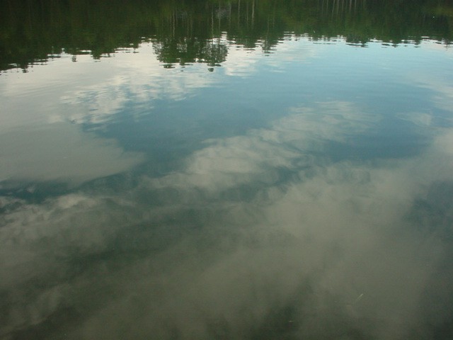 d0004627_2215999.jpg