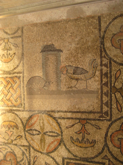 d0147727_2071053.jpg