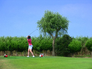 c0199829_1715222.jpg