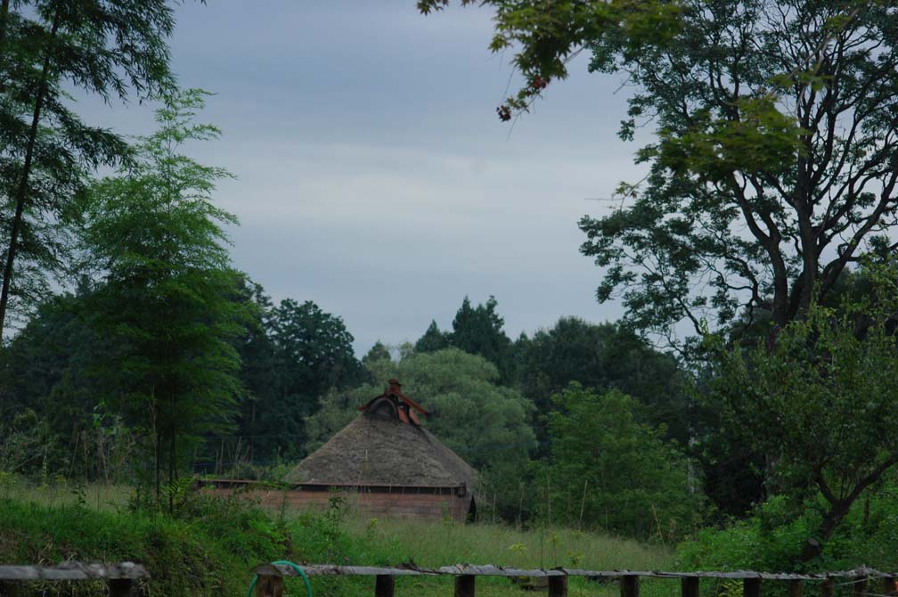 c0192930_13123588.jpg