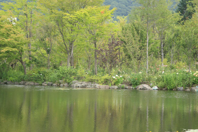 f0017530_18521564.jpg