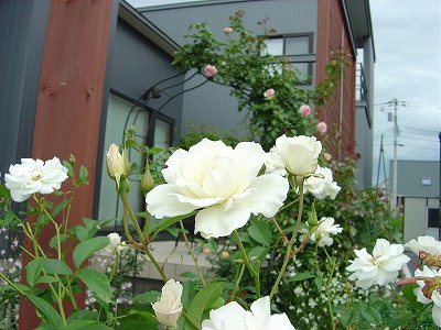 f0205733_23572280.jpg