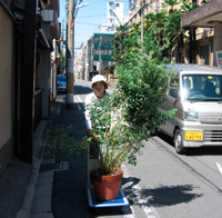 d0033734_16441163.jpg