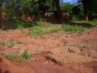 f0204737_1872286.jpg