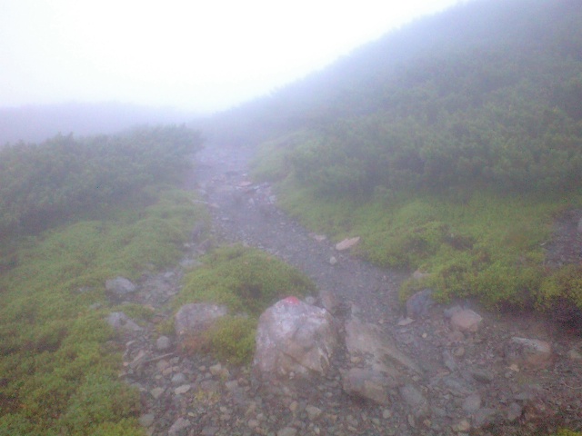 d0107938_941941.jpg