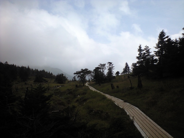 d0107938_9482624.jpg