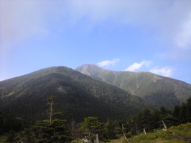 d0107938_9491094.jpg