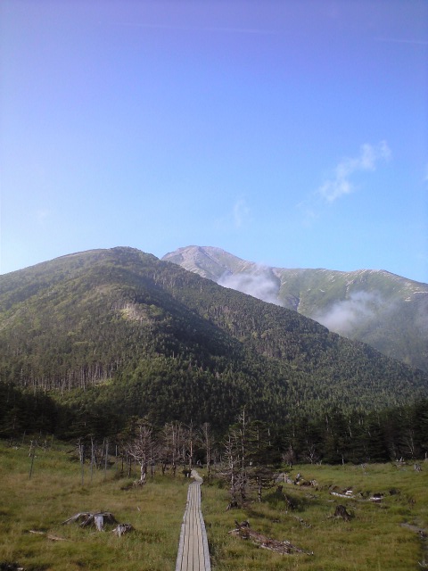 d0107938_9493920.jpg