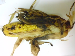 c0157540_13421418.jpg