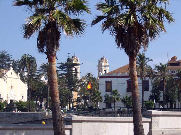 d0129145_61191.jpg