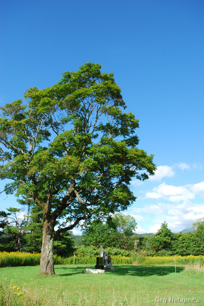 f0166545_2234182.jpg