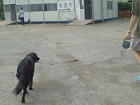 f0095047_2242159.jpg