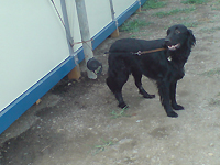 f0095047_2242254.jpg