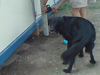f0095047_22423724.jpg