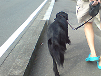f0095047_22425690.jpg
