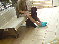 f0095047_22431667.jpg