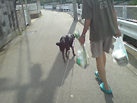 f0095047_22432940.jpg