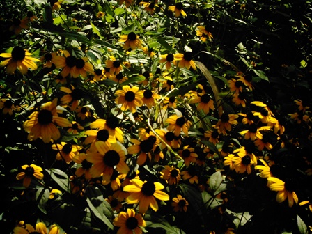 e0028650_015196.jpg