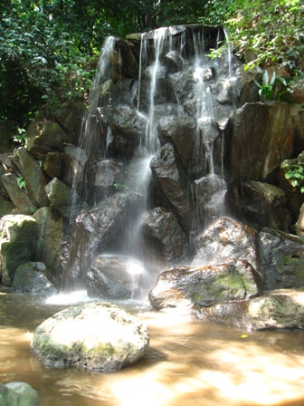 e0028650_220266.jpg