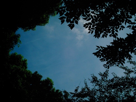 e0028650_22233252.jpg