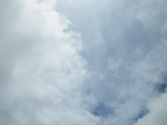 f0046250_2053685.jpg