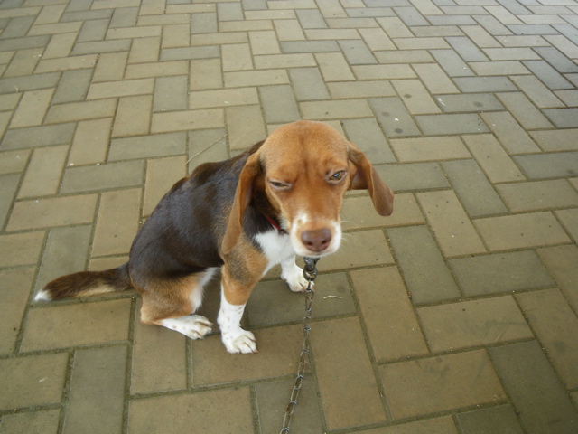 f0046250_21245075.jpg