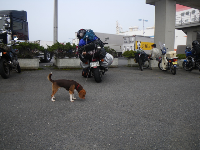 f0046250_21414164.jpg