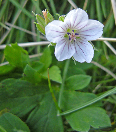 a0001354_21272340.jpg