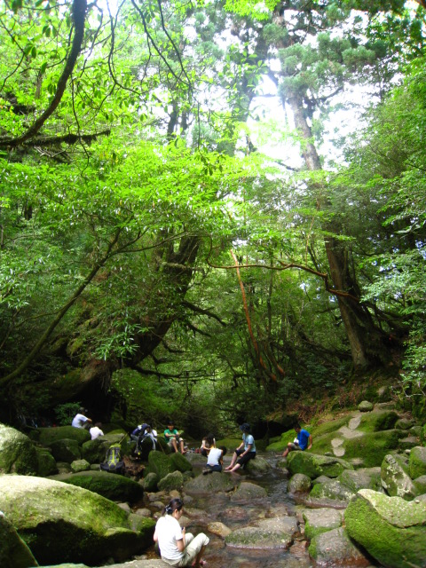 b0160957_1531490.jpg