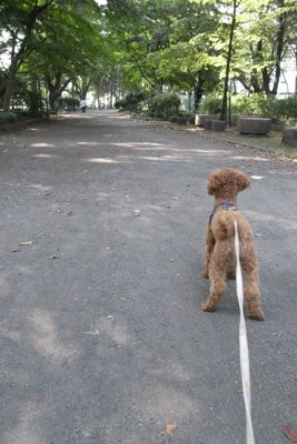 c0170761_12401771.jpg