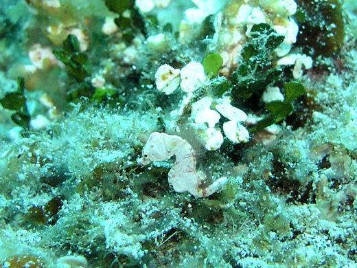 b0062363_2104297.jpg