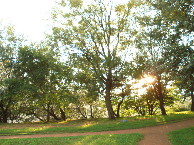 f0132565_10421634.jpg
