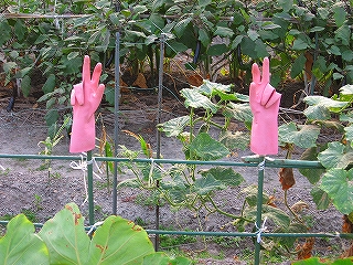 e0002466_12131595.jpg