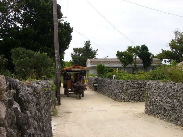 b0174068_23591574.jpg