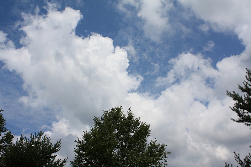 a0104569_22101649.jpg