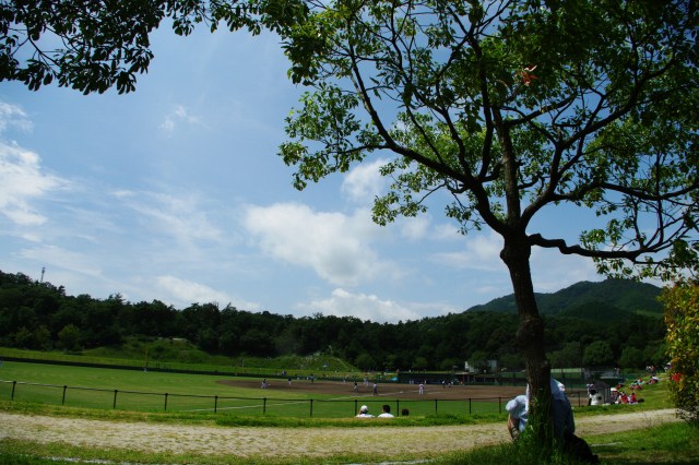 e0078069_2316118.jpg