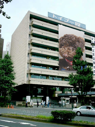 f0207970_0253519.jpg