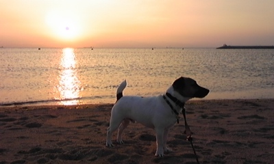 f0100871_2027231.jpg