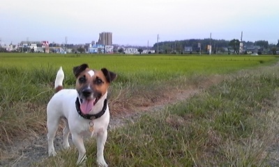 f0100871_20272355.jpg