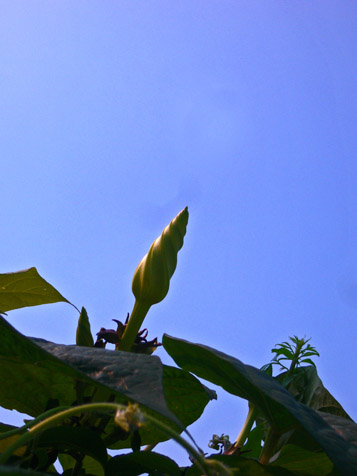 e0112077_16102427.jpg